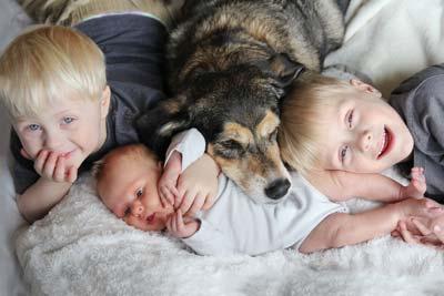Two young blonde boys and a baby snuggle with a larger brown dog in bed.
