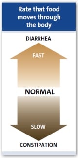 Maisto judėjimo greitis organizme