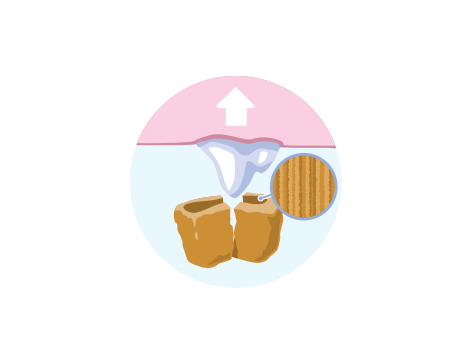 naminių gyvūnėlių ėdalas nuplauna dantis, iliustracija