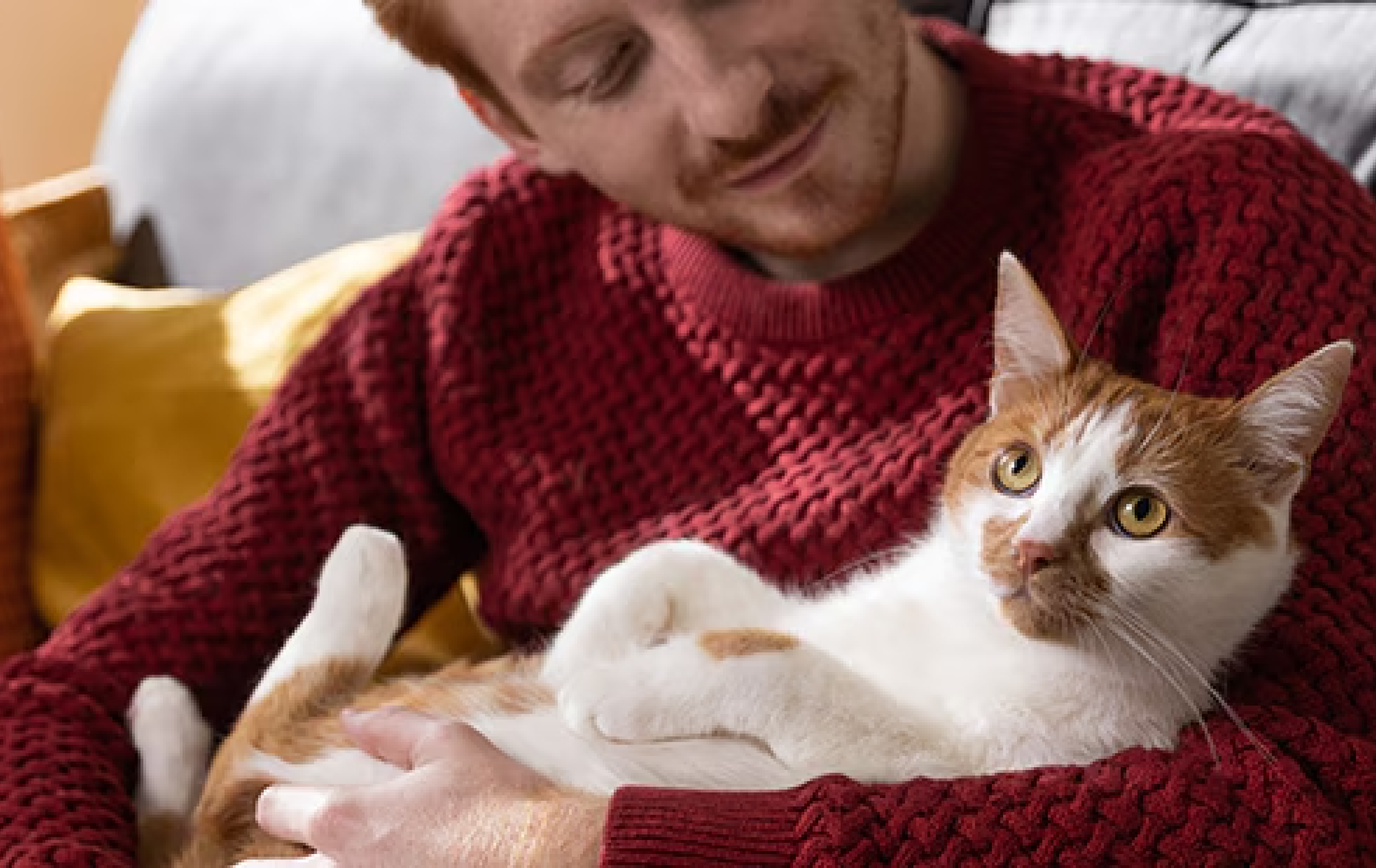 oranžine palaidine vilkinti moteris su ruda kate
