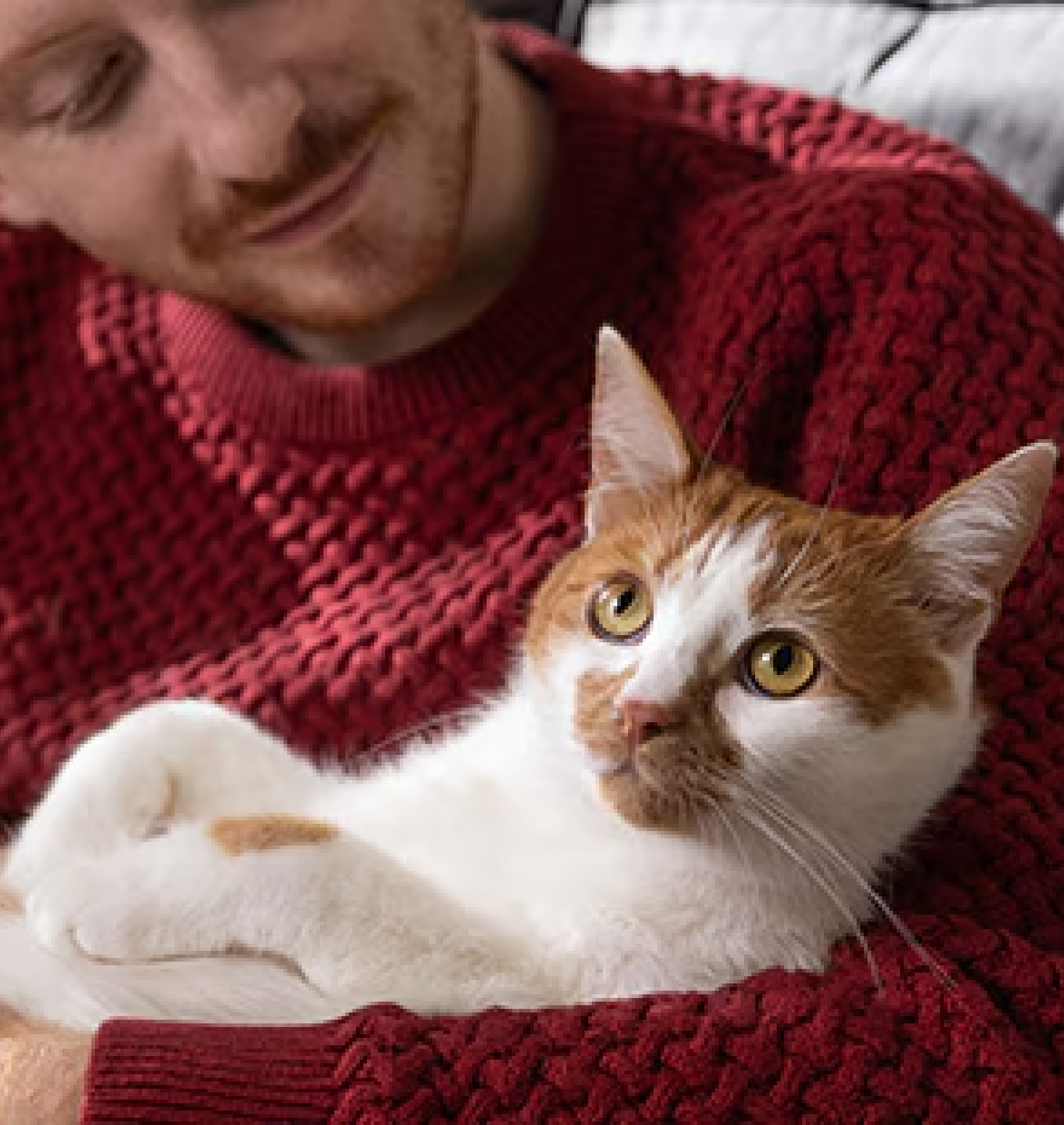 oranžine palaidine vilkinti moteris su ruda kate