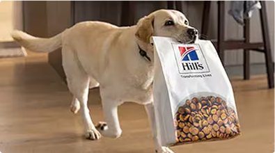 Dog with a Hill's Pet Nutrition dog food bag in his mouth