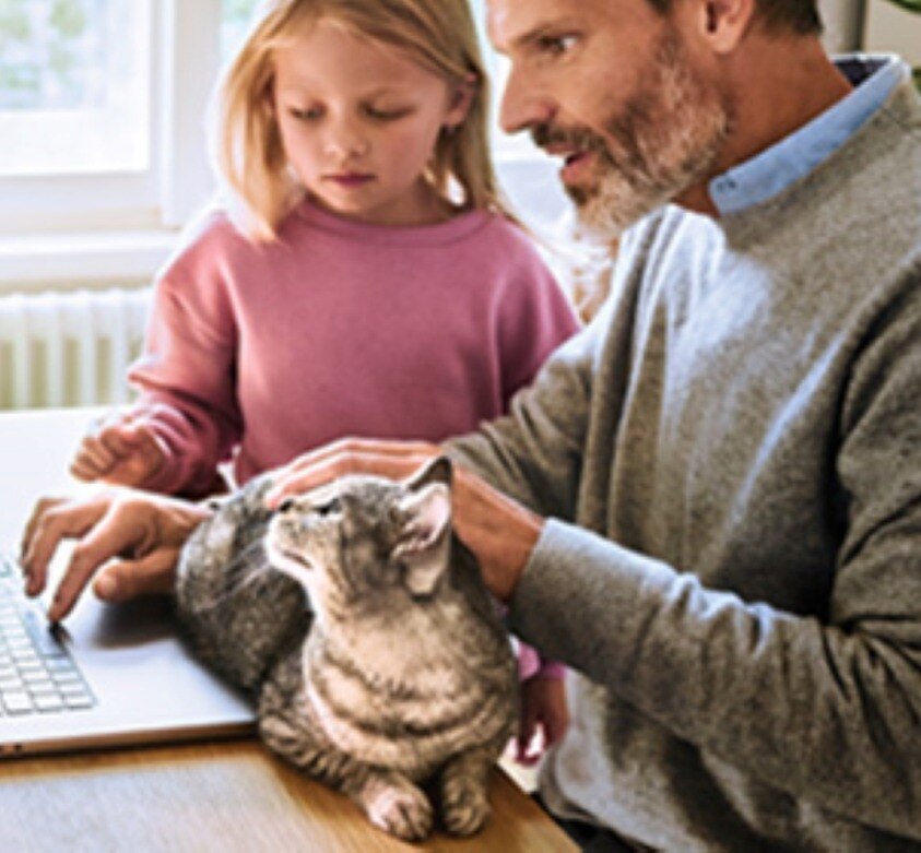 pet parent stroking a black cat with white features