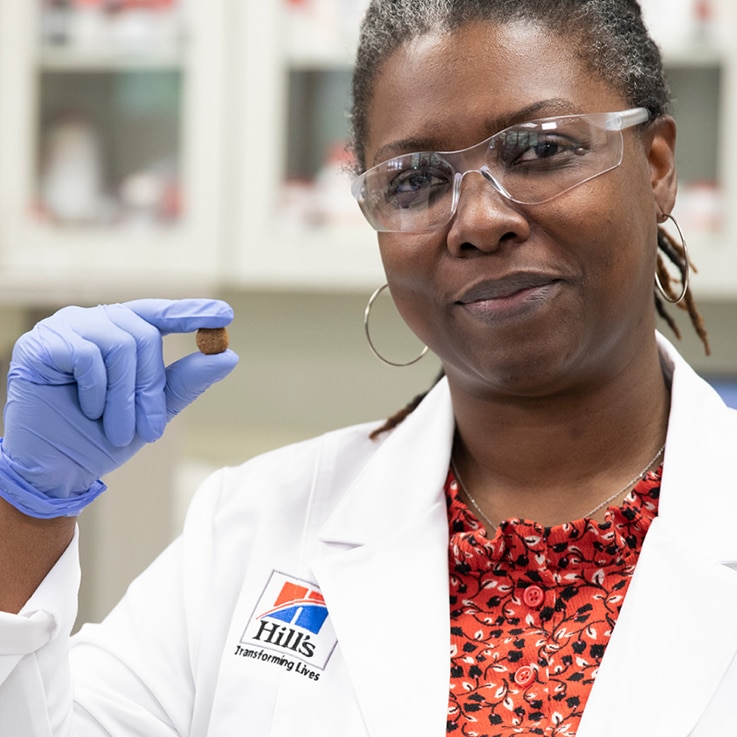 mokslininkas, laikantis smulkmenų