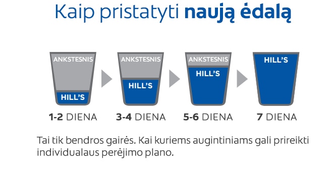 Transition new food Hills