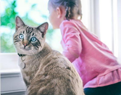 A small girl sitting next to an overweight cat
