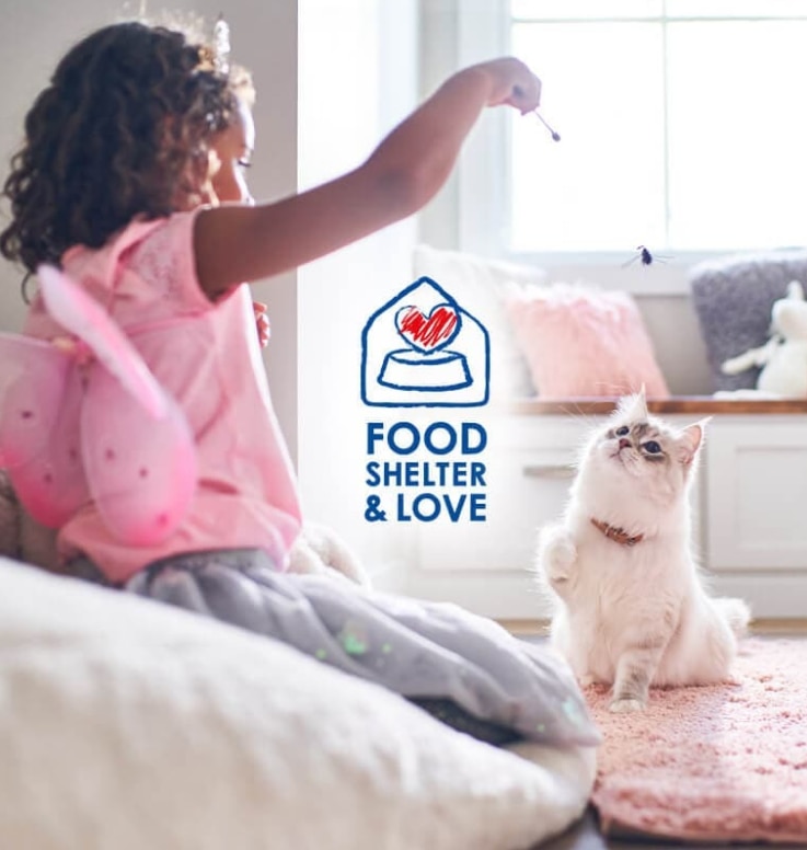 Girl playing with a kitty