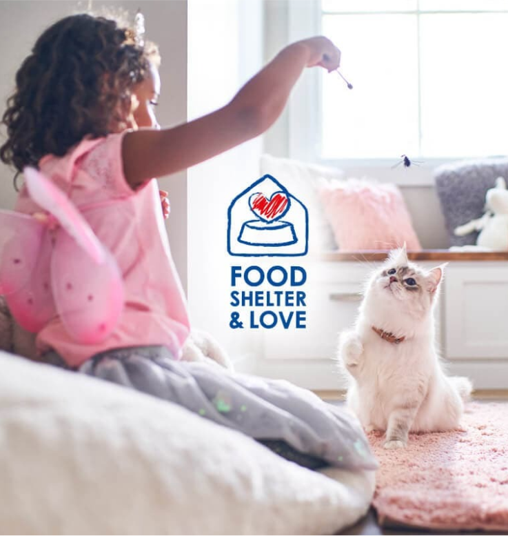 mergina žaidžia su katinu