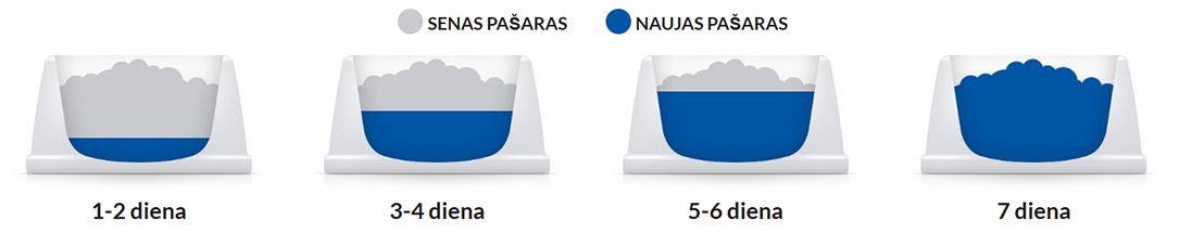 kalno maisto perėjimas