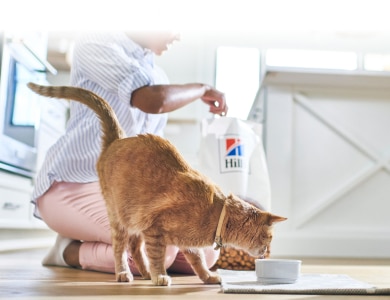 Katė ėda „Hill's“ augintinių ėdalą