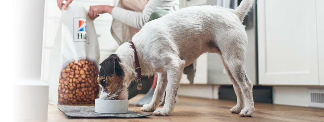 Šuo ėda „Hill's“ augintinių ėdalą