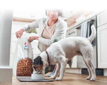 Šuo ėda „Hill's“ augintinių ėdalą